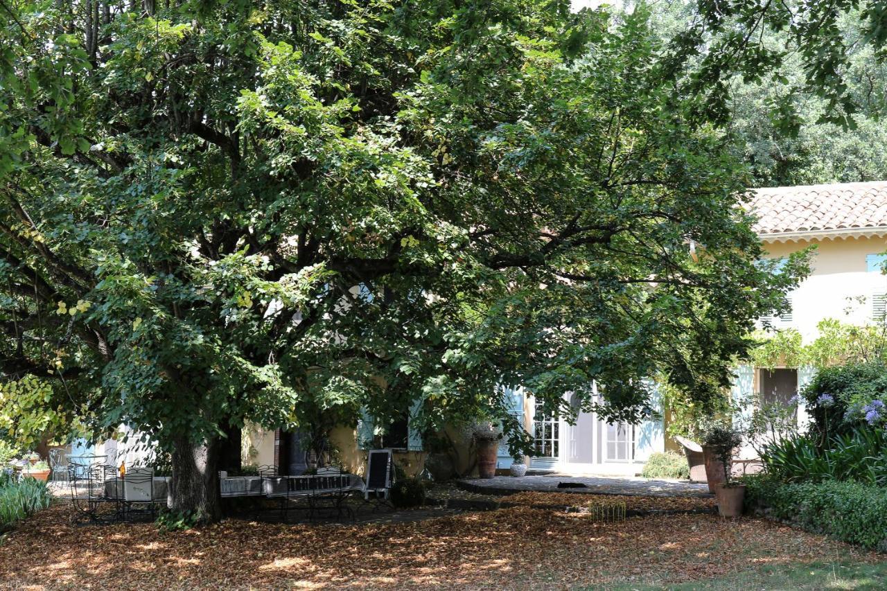 Domaine Des Tilleuls D'Or Saint-Cézaire-sur-Siagne Екстериор снимка
