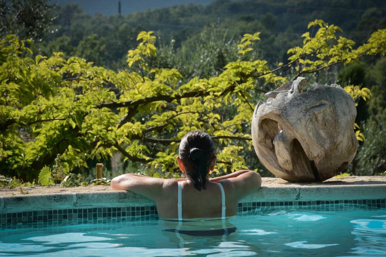 Domaine Des Tilleuls D'Or Saint-Cézaire-sur-Siagne Екстериор снимка