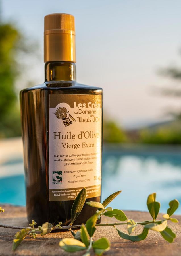 Domaine Des Tilleuls D'Or Saint-Cézaire-sur-Siagne Екстериор снимка