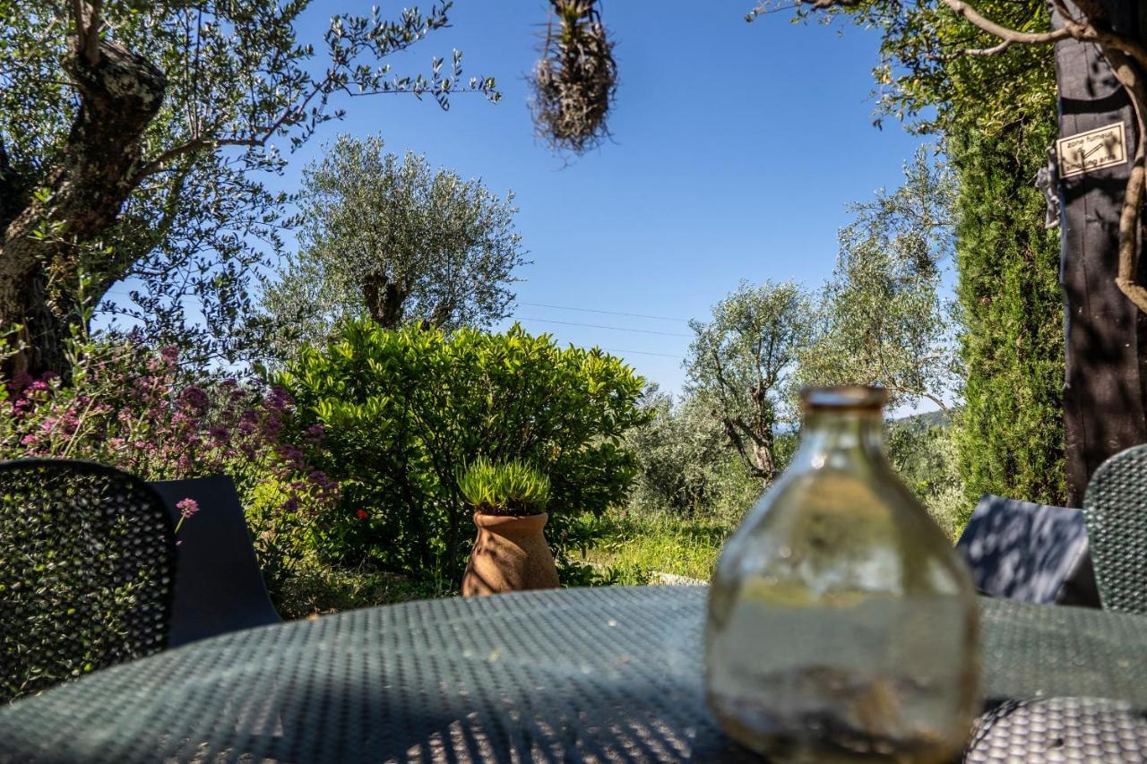 Domaine Des Tilleuls D'Or Saint-Cézaire-sur-Siagne Стая снимка